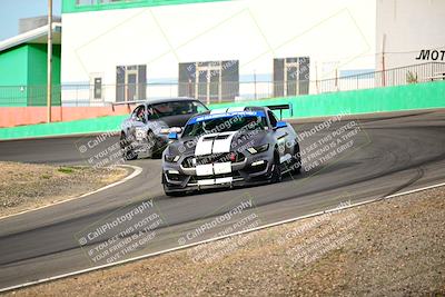 media/Feb-25-2024-Speed Ventures (Sun) [[b9a2a97a4d]]/Mustang Drivers Club/Session 1 (Turns 4 and 5)/